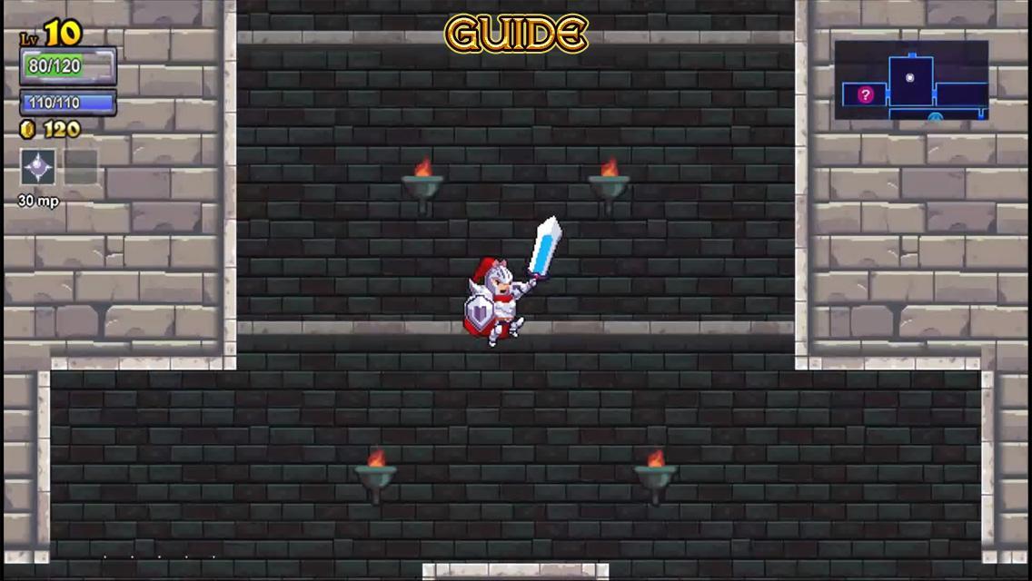 rogue legacy guide